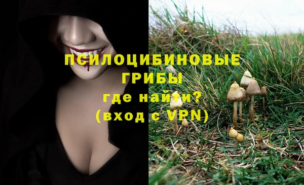 дживик Балахна