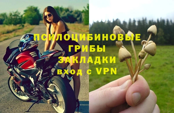 дживик Балахна