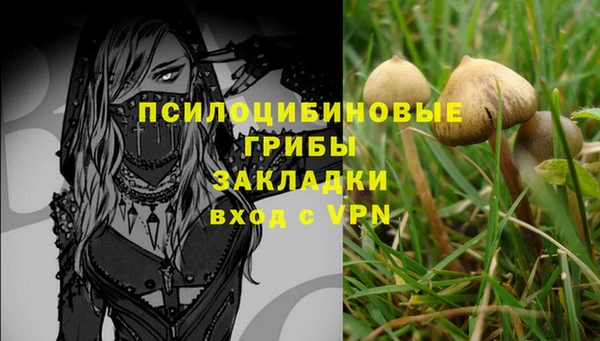 дживик Балахна