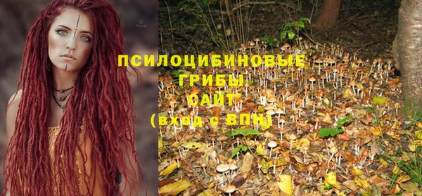 дживик Балахна