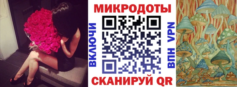 Псилоцибиновые грибы Psilocybine cubensis  Пересвет 